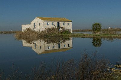 Rice fields under water in La Albufera Natural Park near Valencia