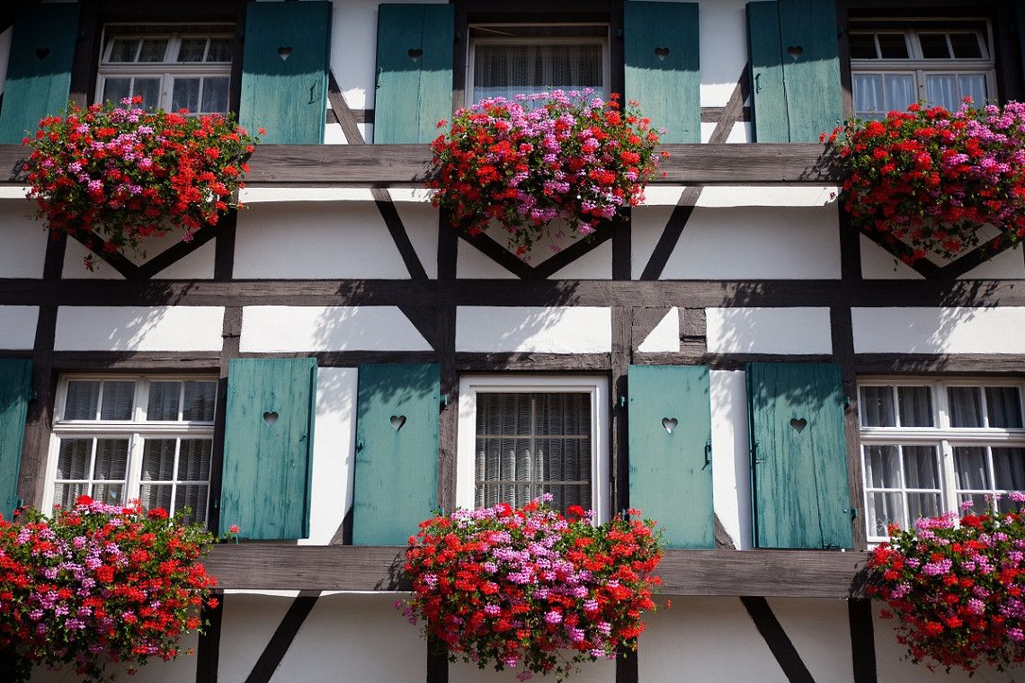 Blumen und Fachwerkfassade in Sasbachwalden 