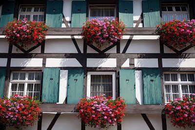 Blumen und Fachwerkfassade in Sasbachwalden 