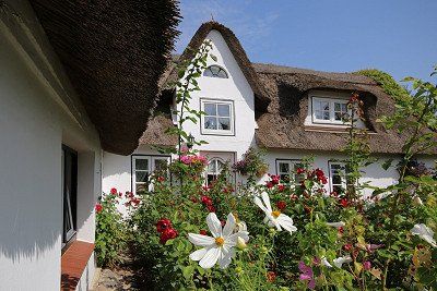 reetgedecktes Friesenhaus auf Amrum