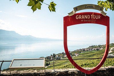 Lavaux Vineyard near Epesses