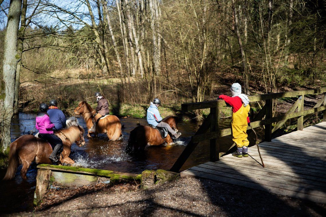 Reiter und Pferde im Fluss im Hellbachtal