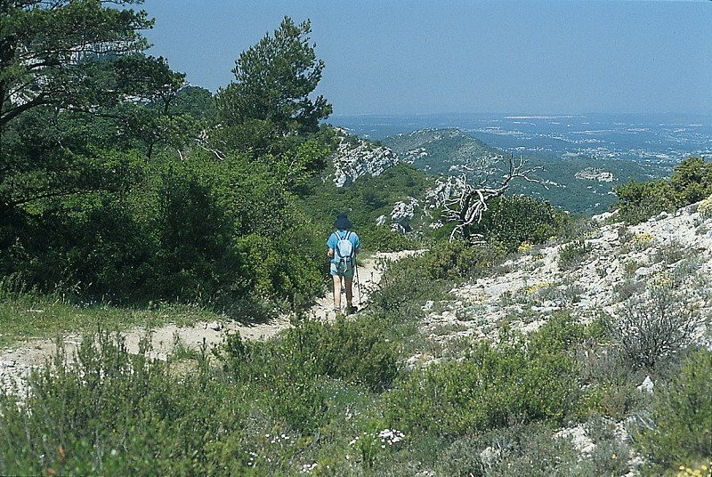 Wandertipp Provence: Leichte Rundwanderung zum Pilon du Roi