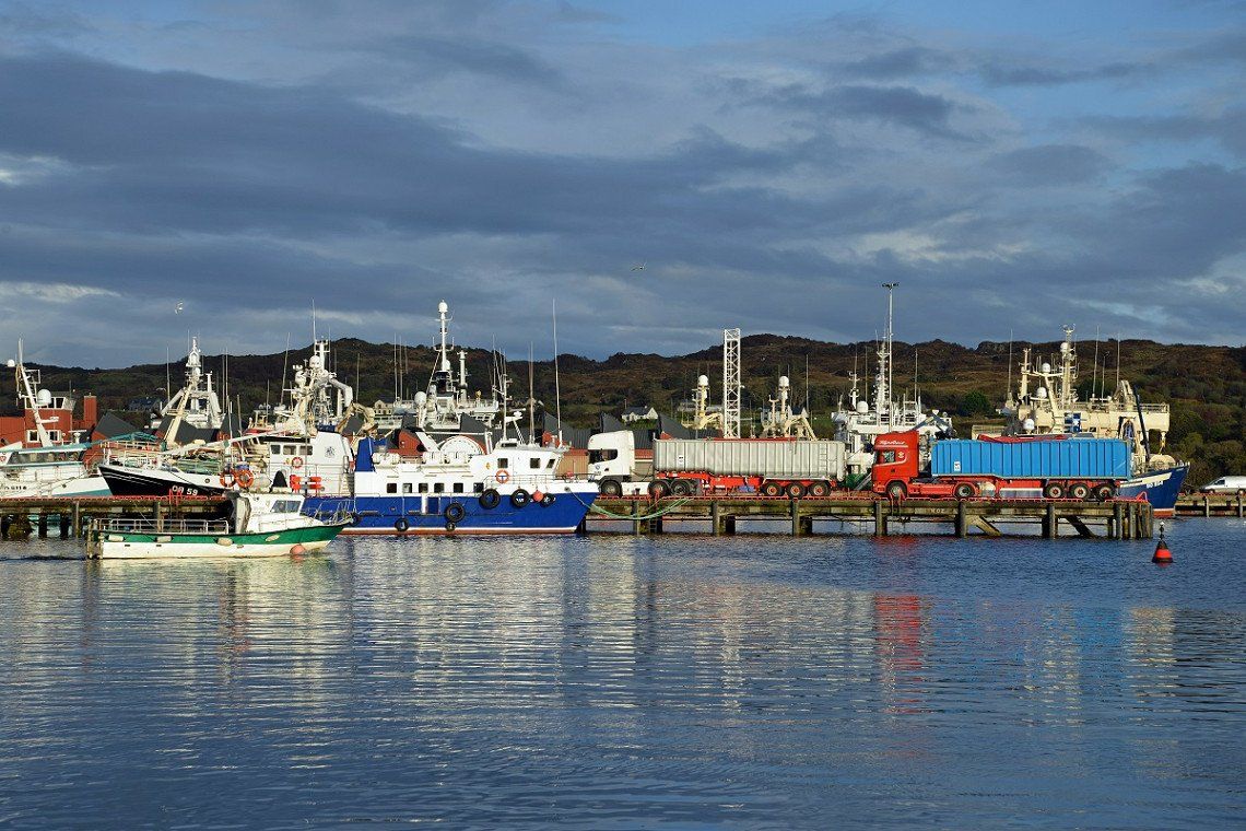 Fischerboote im Hafen von Killybegs, Irland 