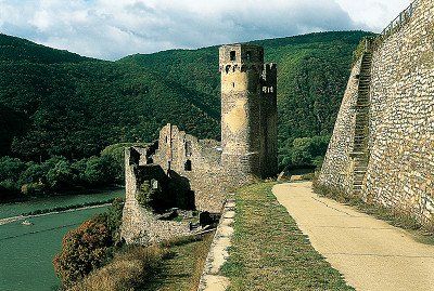 Ruine Ehrenfels über dem Rhein
