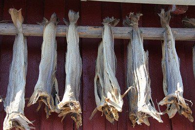 getrockeneter Stockfisch vor Hütte auf den Lofoten