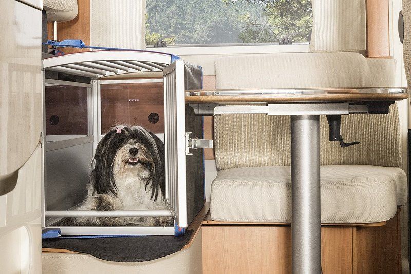 Hunde im Wohnmobil sicher transportieren