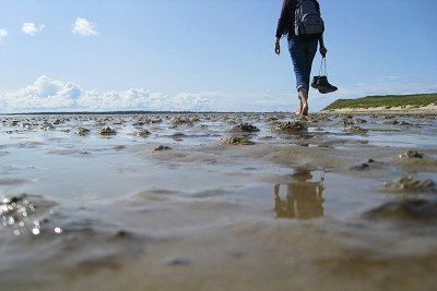 Spaziergänger im Watt an der Nordsee