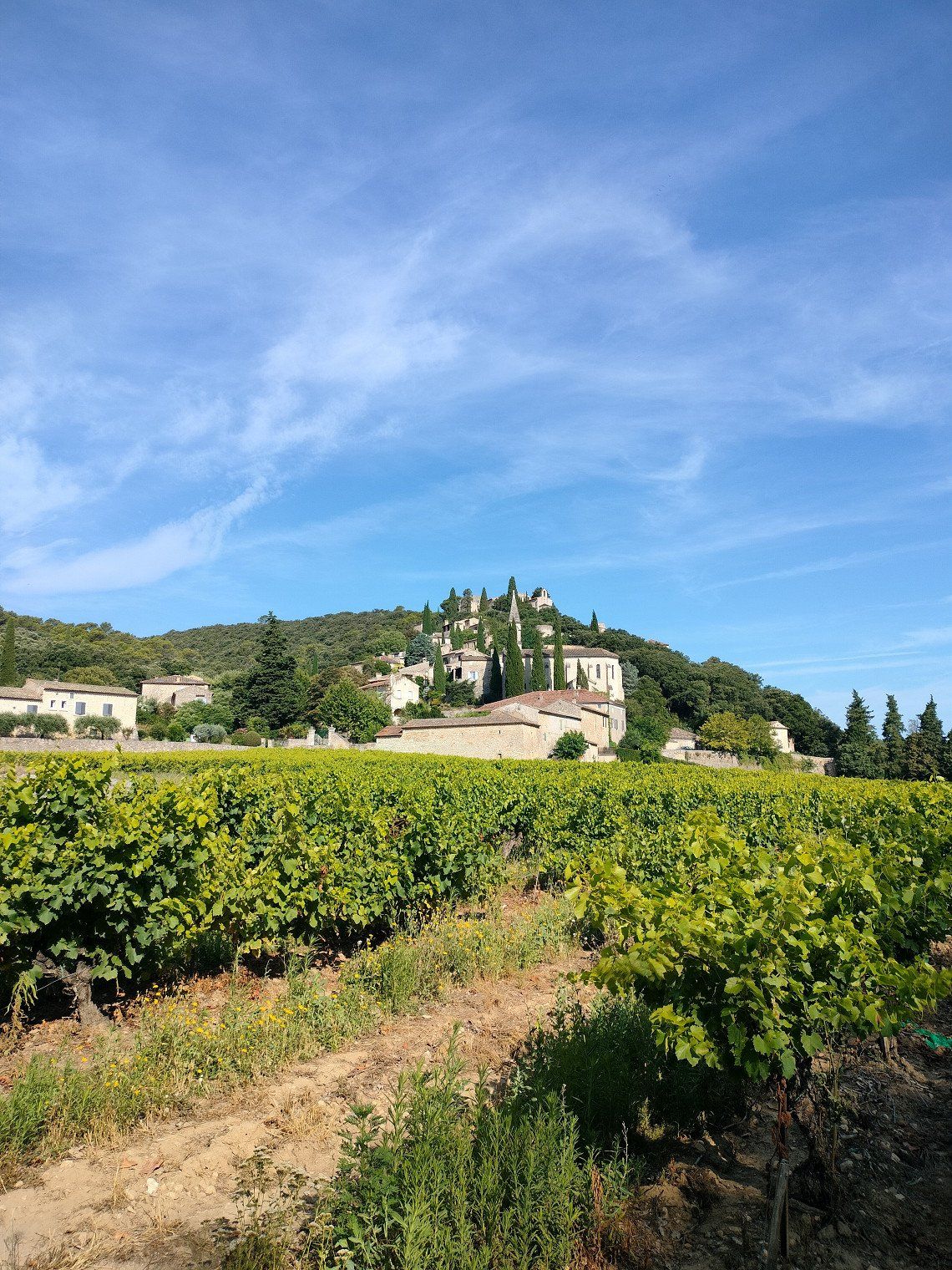 Zomer 2024 Frankrijk