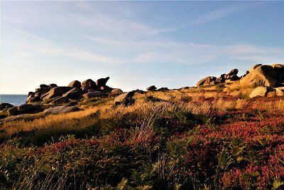 Meer und Felsen an der Rosa Granitkueste, Bretagne