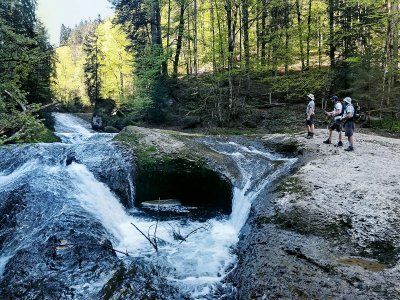 Blick auf die Obere Argen und ihre Gumpen