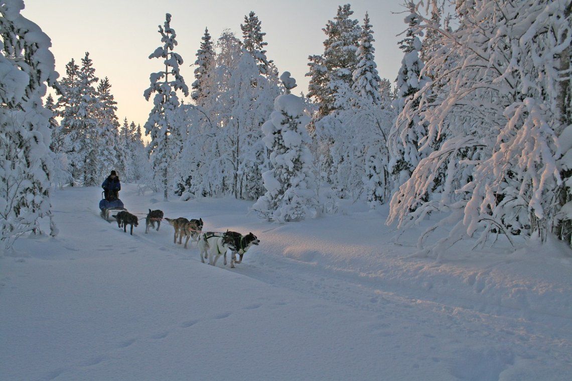 Hundeschlittentour Arctic Husky Farm, Finnland 
