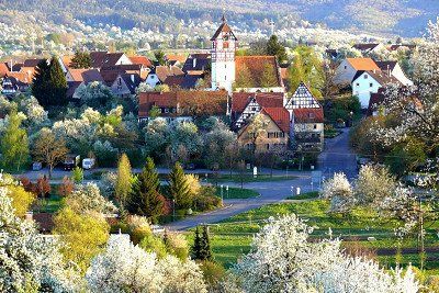 Blick auf die Altstadt von Nehren