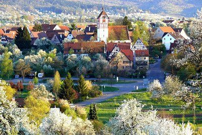 Blick auf die Altstadt von Nehren