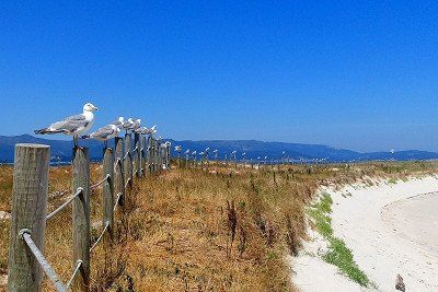 Strand op het eiland La Toxa in Galicië