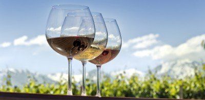 Zwischen Meran und Bozen — kleiner Weg zum großen Wein