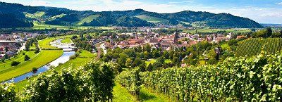 Blick auf Gengenbach aus dem Weinberg