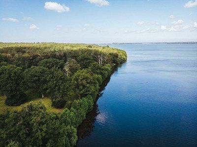 Gribskov Forest on the banks of Lake Esrum