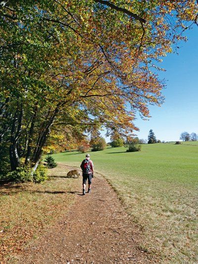 Weg am Waldrand oberhalb der Traufkante