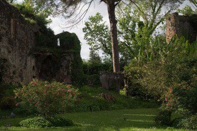 View into the garden of Ninfa 