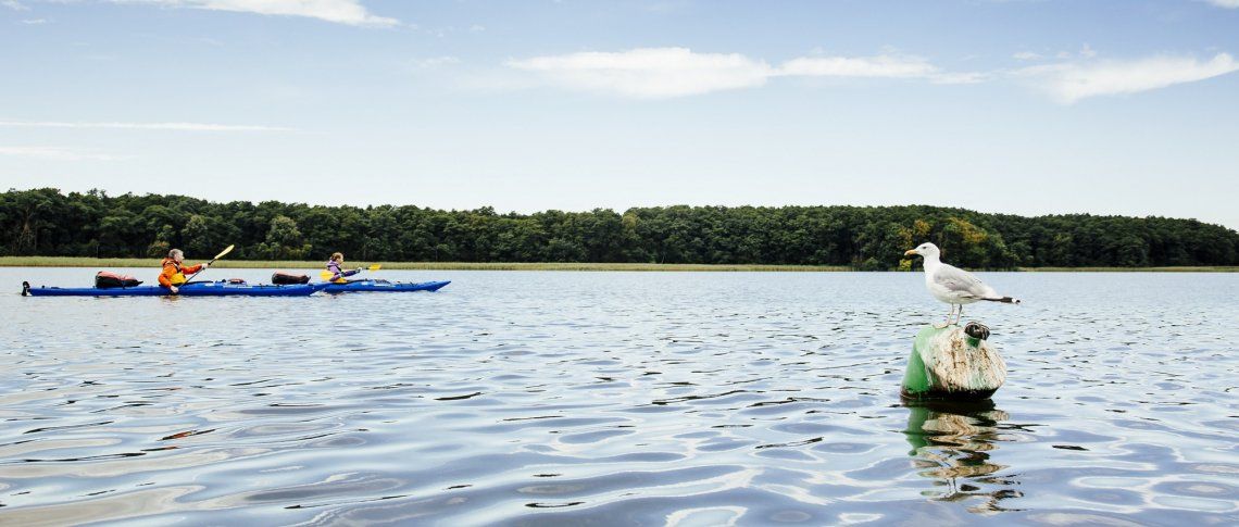 Zwei Kajakfahrer auf der Mecklenburger Seenplatte