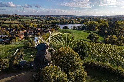 Historische Grebiner Muehle mit Weinbergen rundum von oben gesehen