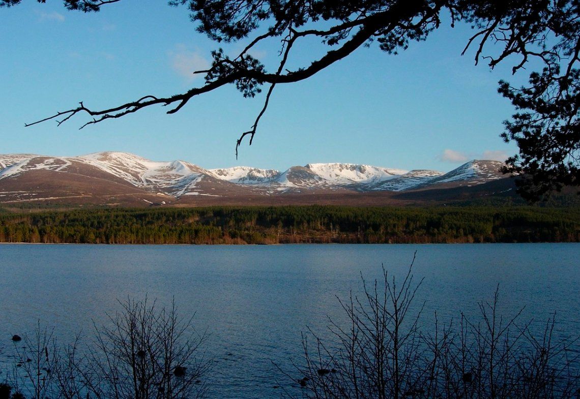 Loch Morlich im Nationalpark Cairngorms im Winter