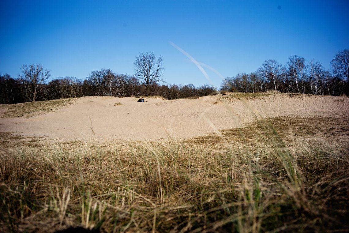 Einsame Sandflächen in den Boberger Dünen bei Sonnenschein