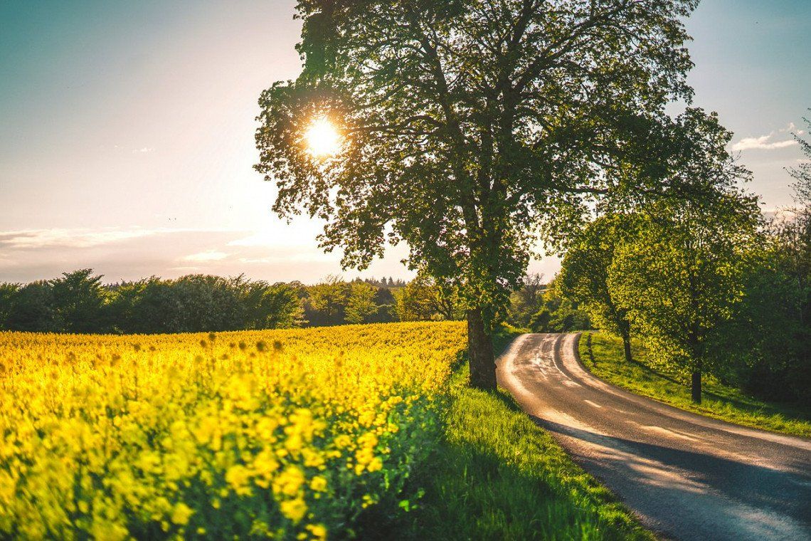 Danemark Sehenswurdigkeiten Natur