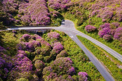 Road crossing with right of way on the Vee Scenic Drive in Ireland