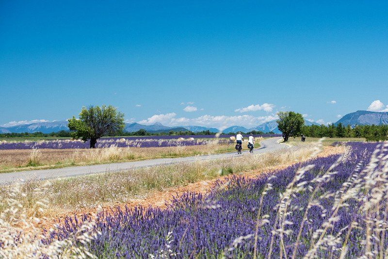 Tour de Provence: Rond de Luberon op de fiets
