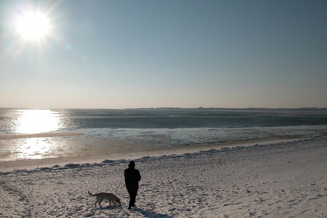 Winter Strand Nordsee Hund
