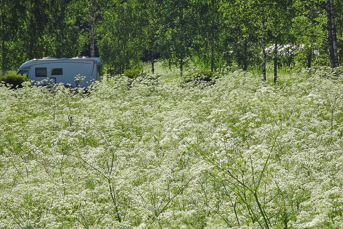 A motorhome next to a meadow in Finland