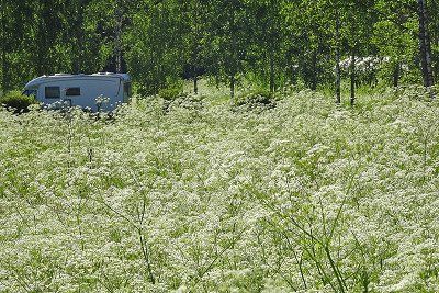 A motorhome next to a meadow in Finland