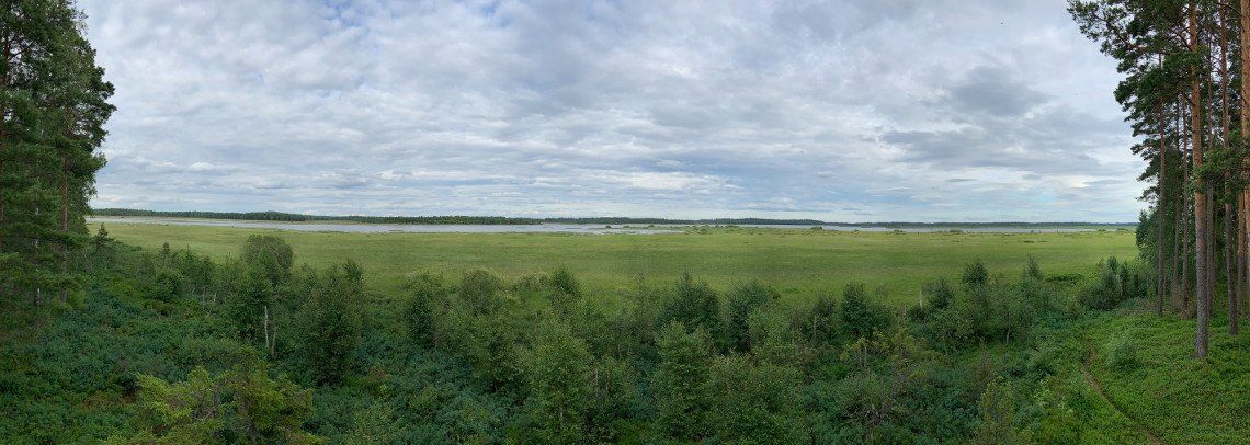 Panoramablick über die Moorlandschaft des Store Mosse