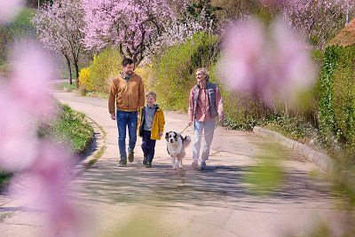 Wanderer auf dem Mandelpfad zur Zeit der Mandelblüte