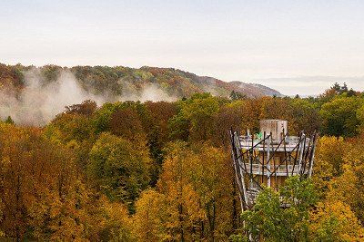 Aussichtsturm Baumwipfelpfad Bad Iburg mit Nebelschwaden