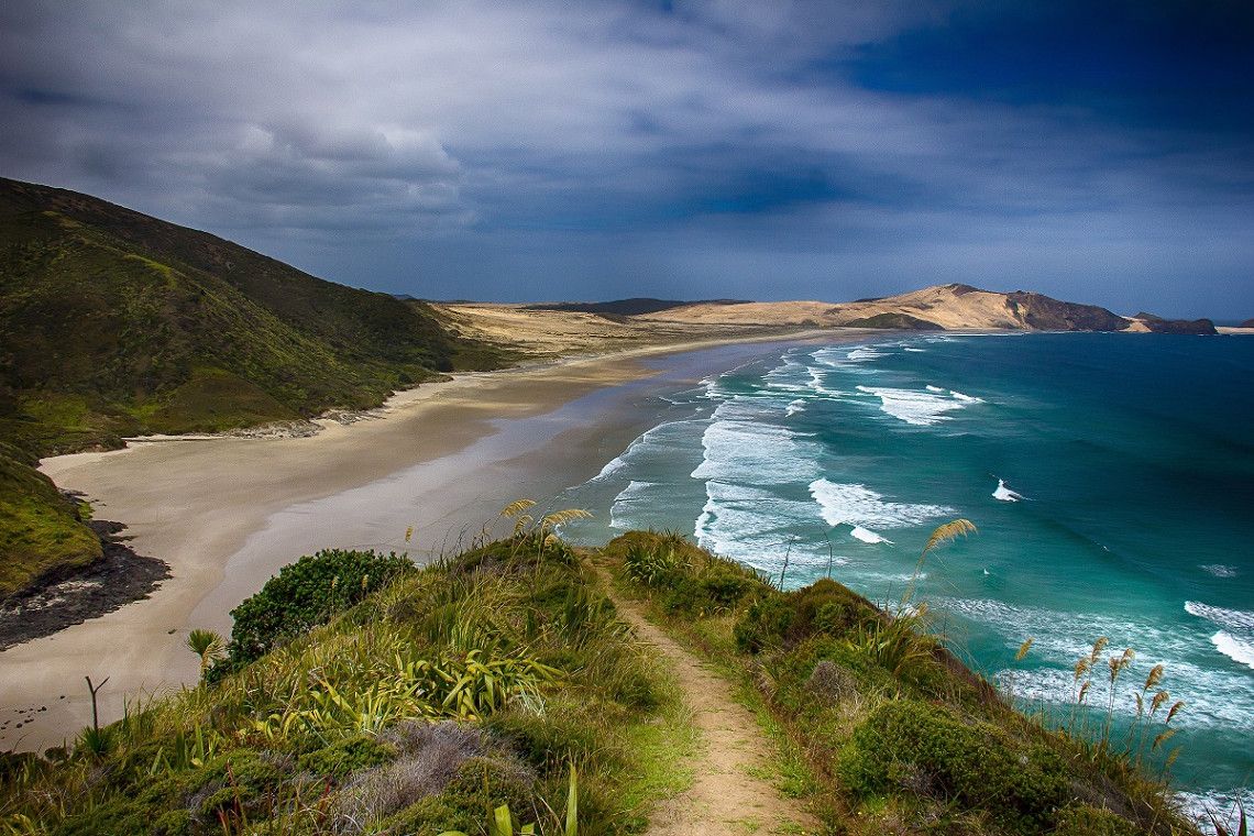 Strand und Duenenlandschaft Neuseeland Nordinsel 