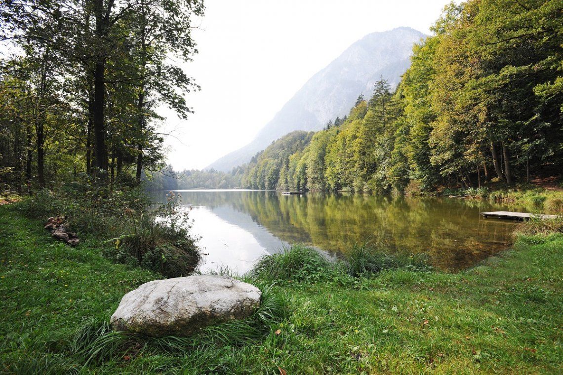 Stimmersee in Austria idyllically framed by forest and mountains