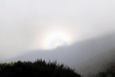 Nebel im Harz mit Sonne im Hintergrund