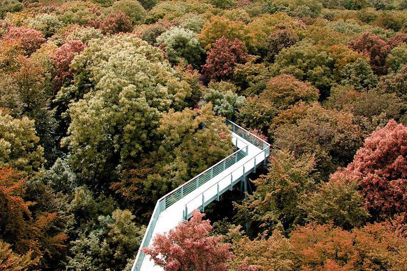 Baumwipfelpfade Deutschland