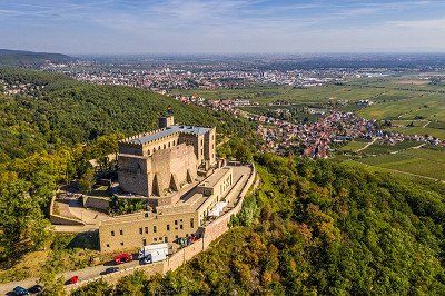 Vineyards Palatinate Hambacher Schloss