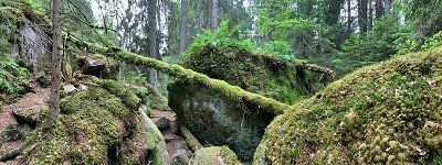 The Tiveden Tärnekullerundan hiking trail