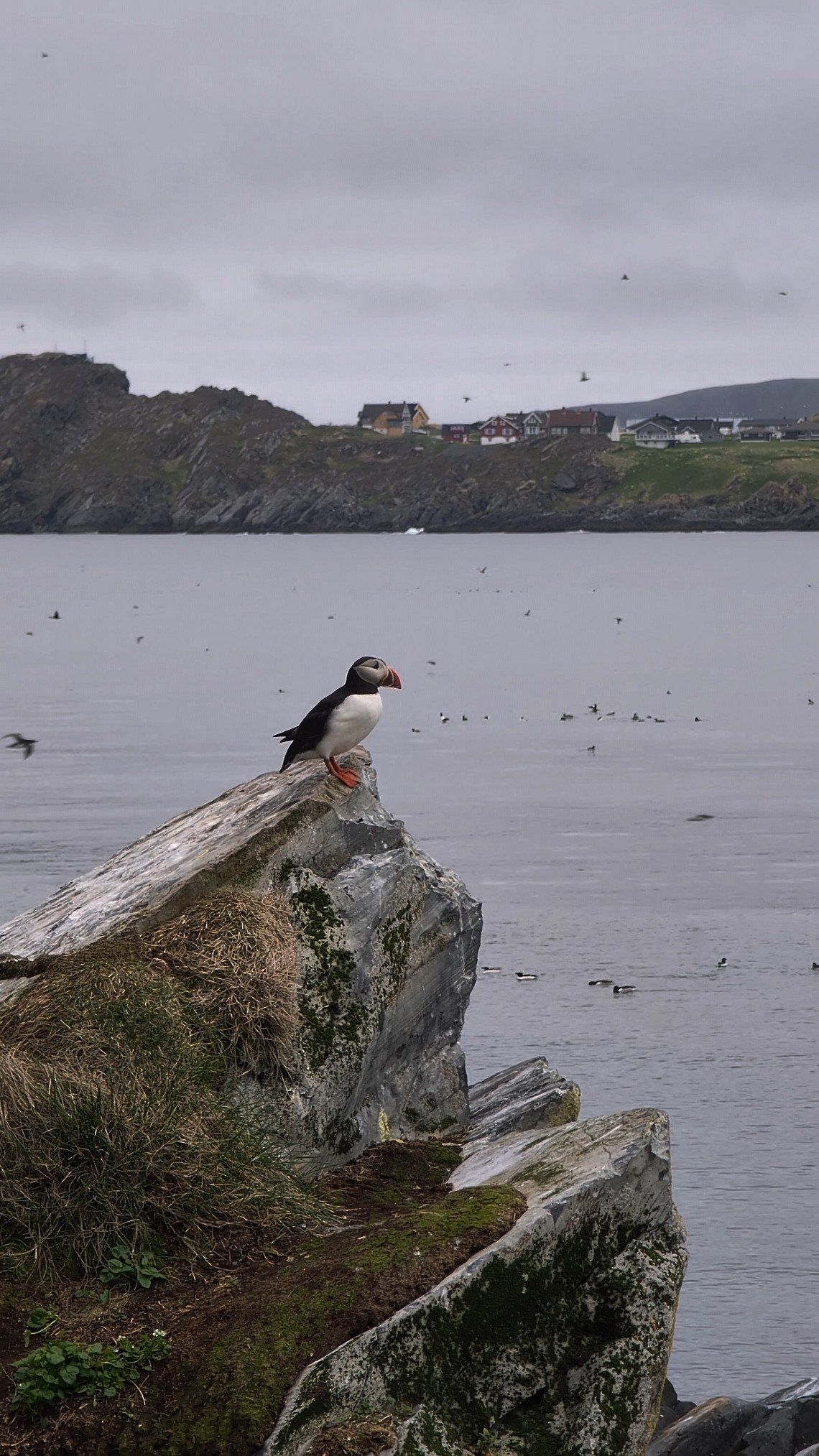 3 months through Europe