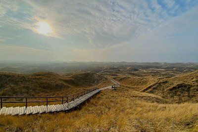 Bohlenweg durch die Duenenlandschaft auf Amrum