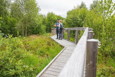 Wanderer im Muetzenicher Venn auf Holzsteg