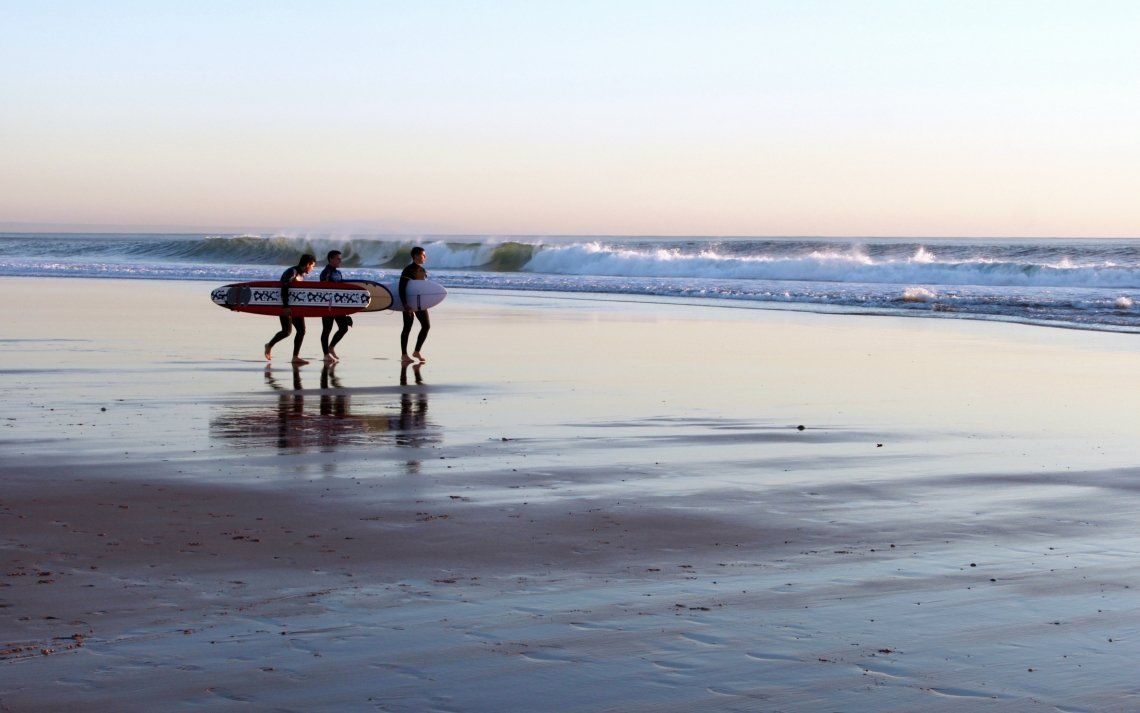 Surfers on a beach