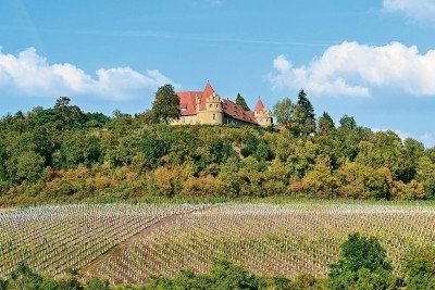 Schloss Frankenberg umgeben von Rebhängen