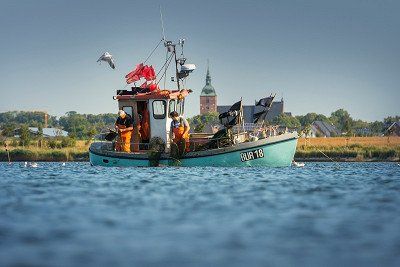 Fischkutter auf dem Wasser in Schleswig-Holstein