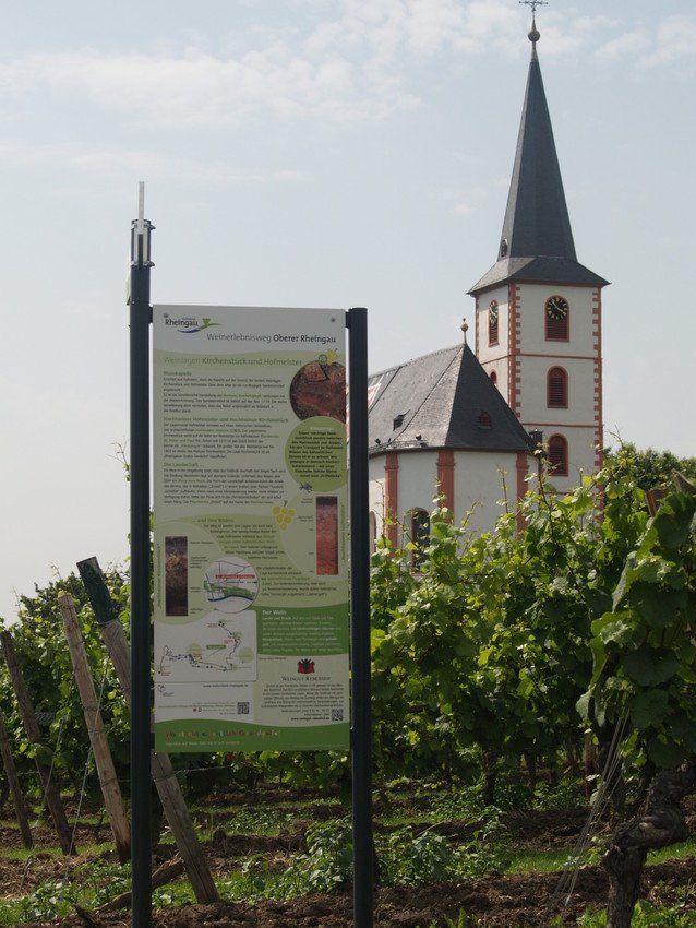 Informatiebord over het wijnbelevenispad en de kerk in de wijngaard bij Hochheim